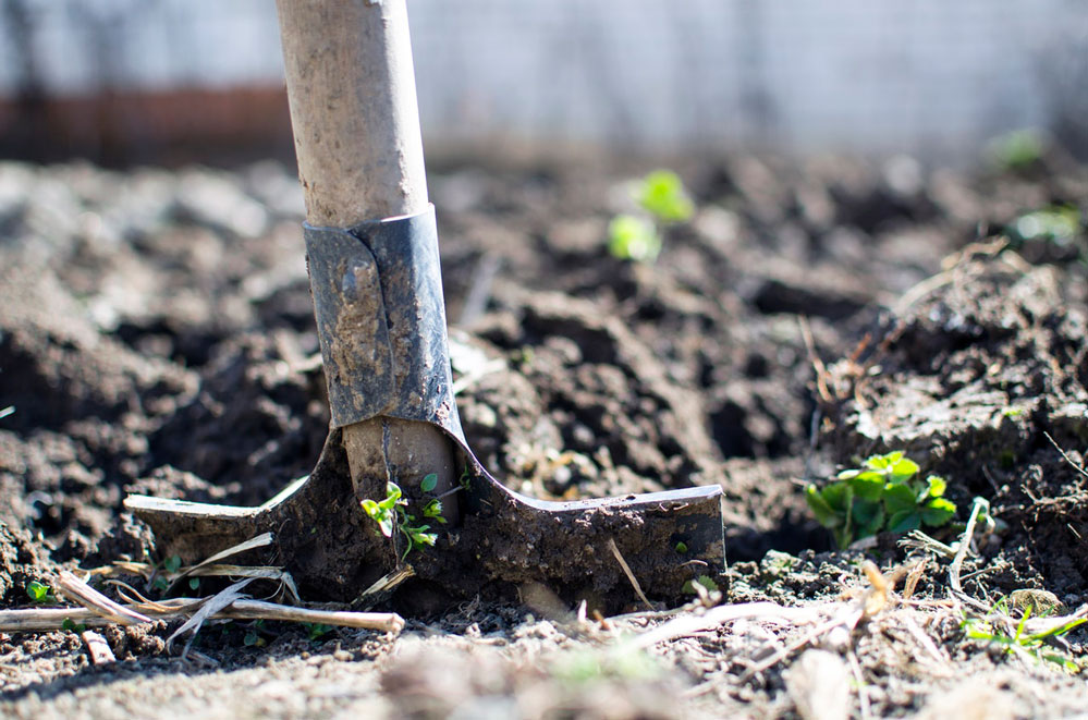 alternate garden ideas